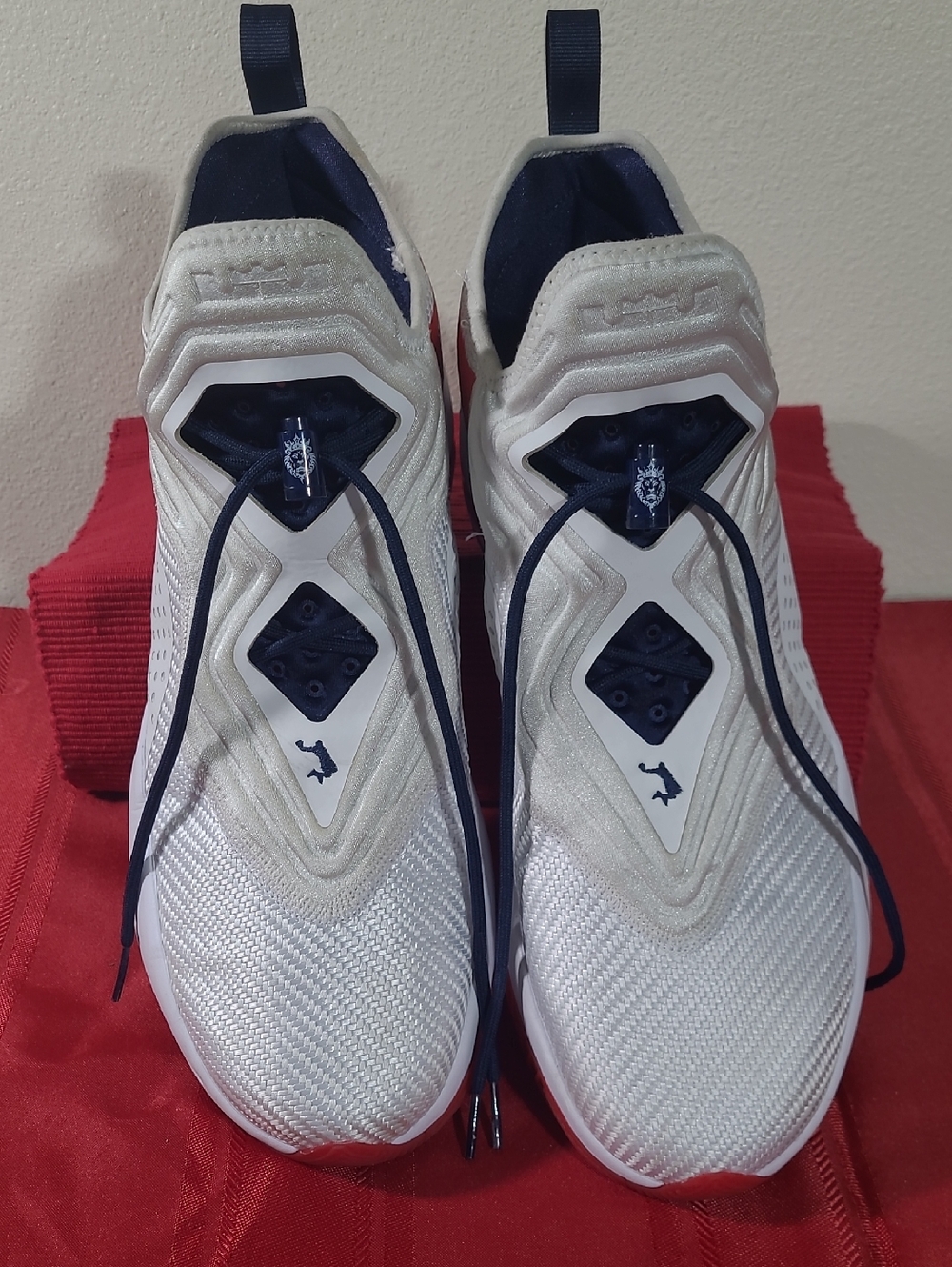 Nike LeBron Solider 14